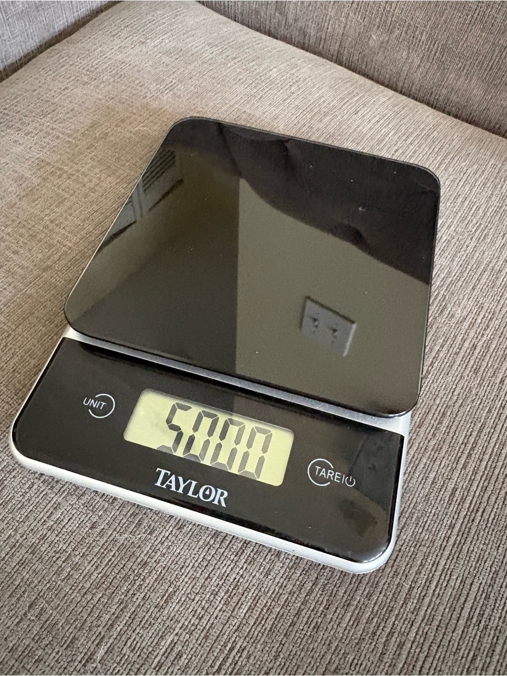 Taylor food scale